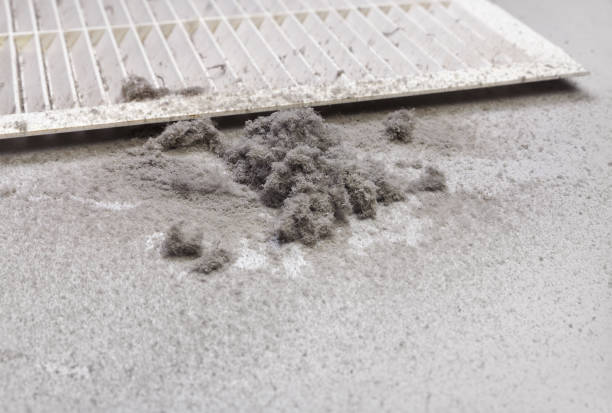 Best Ventilation Cleaning Services  in New Boston, TX