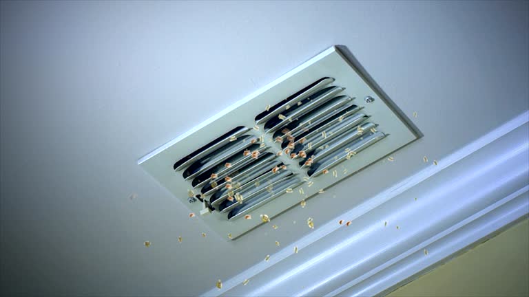 Best Commercial HVAC Duct Cleaning  in New Boston, TX