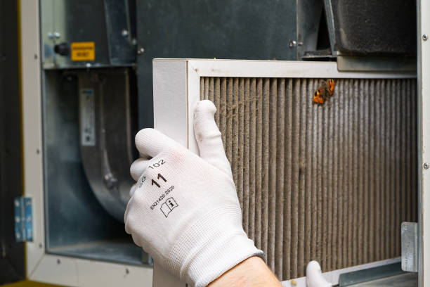 Best Air Duct Cleaning Near Me  in New Boston, TX