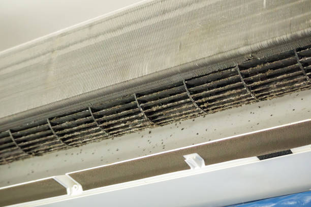 Best Professional Duct Cleaning Services  in New Boston, TX